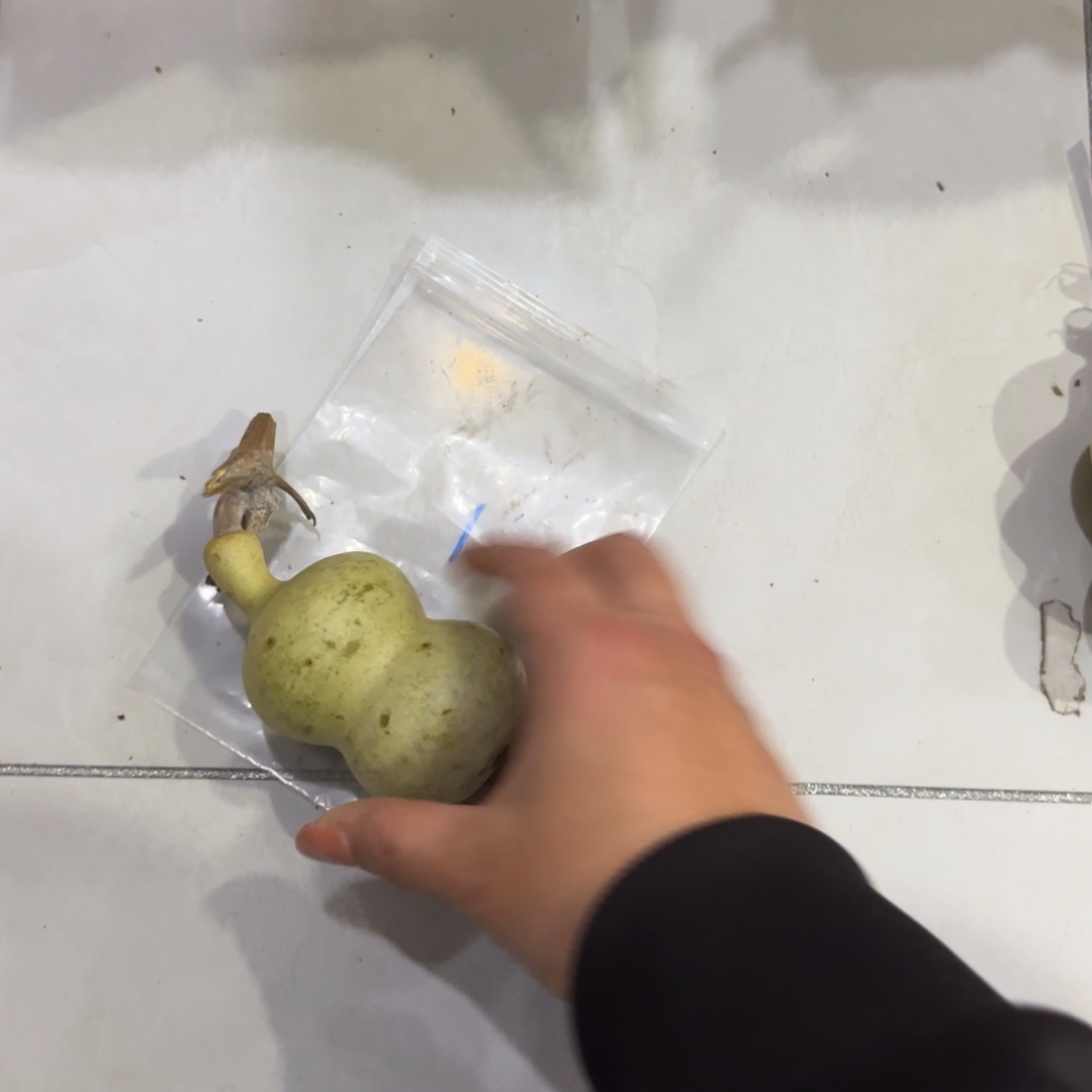 雪***梦葫芦来咯乐乐乐乐咯OK乐乐咯