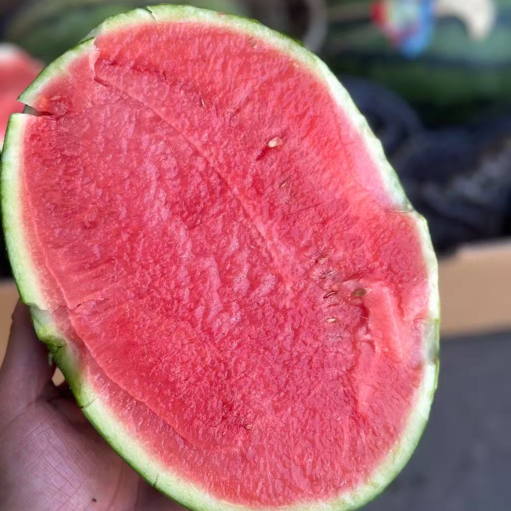 甘美4K站神西瓜，战神无籽无核，肉质紧实脆甜爽口海南省