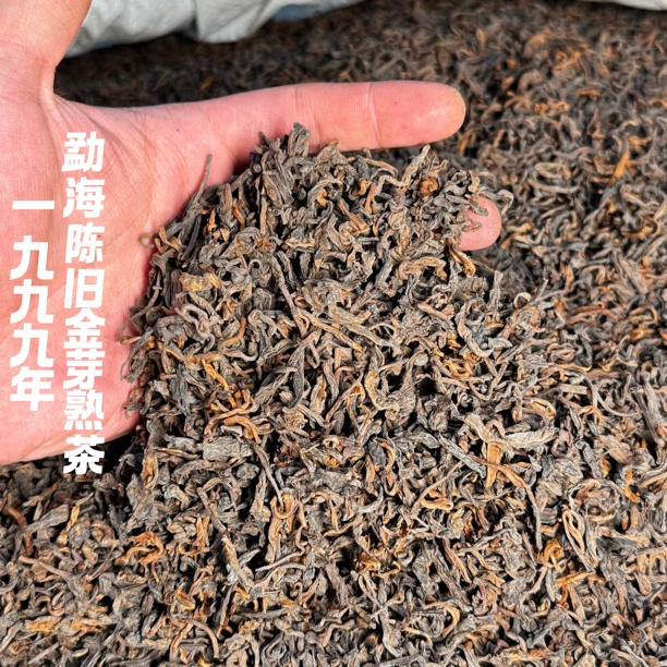 一九九九年勐海金芽熟茶 陈香滑醇耐泡程度高甜水滑老味足 散茶