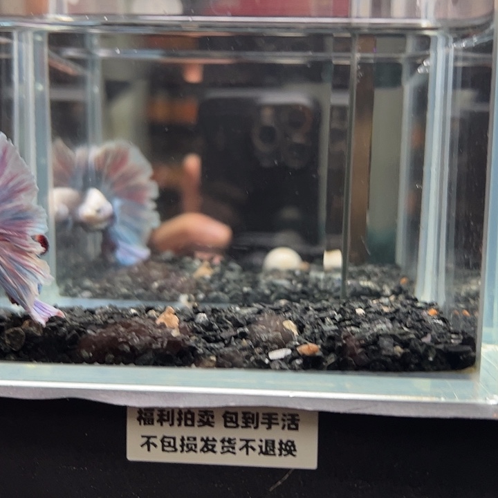 斗鱼跑单拉黑30日9