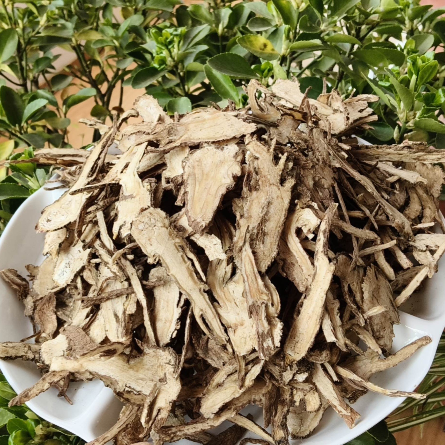 甘肃岷县全当归切片 无硫0添加