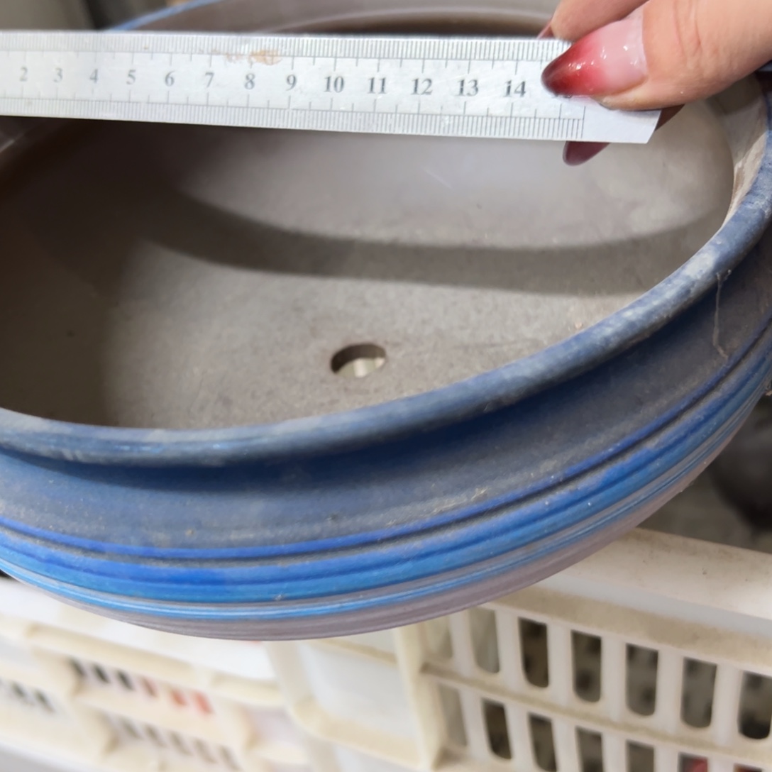 我****陶瓷花盆特价上新