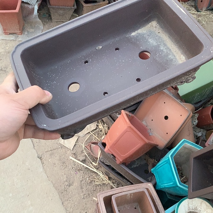 紫砂淘宝上所有产品可以