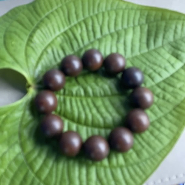 【阿雅专属生】1044菇号49g