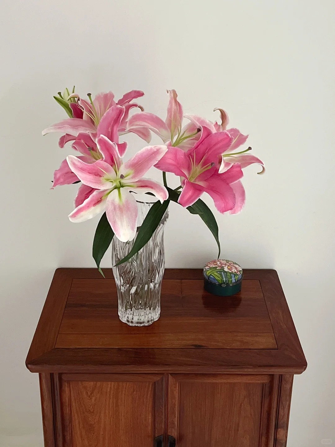 【马龙果百合】高品质香水百合 一单也包邮 发货后不支持退款