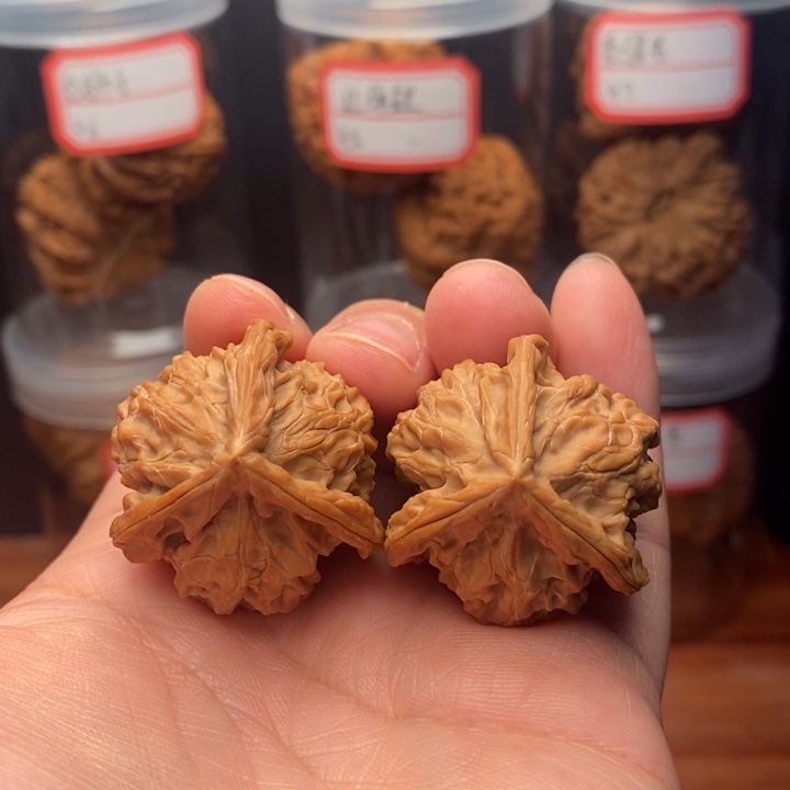 文玩核桃把件麻核桃三棱正奔