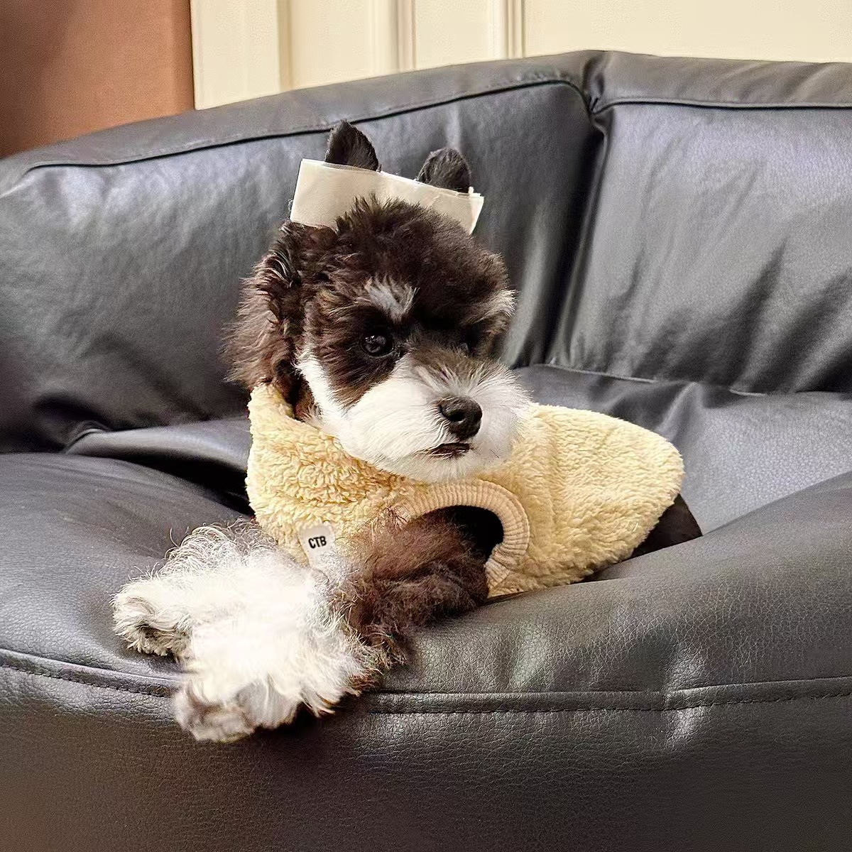 秋冬季宠物服装加厚高领棉马甲抗旱保暖猫咪狗狗通用马甲高领保暖