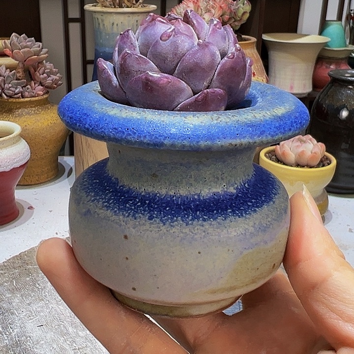 景德镇陶瓷2单包邮