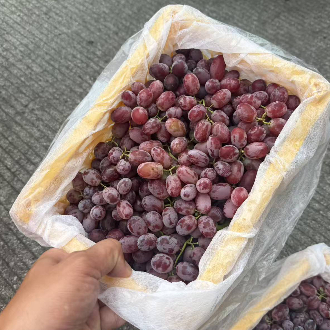 来宾小时达-整件克伦生红提新疆维吾尔自治区
