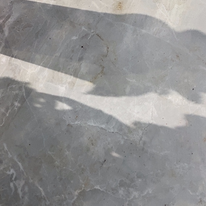 酥***梨孤品区昂斯诺多肉植物