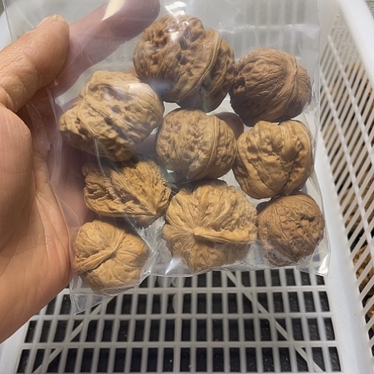 坦****吊坠文玩核桃不退不换