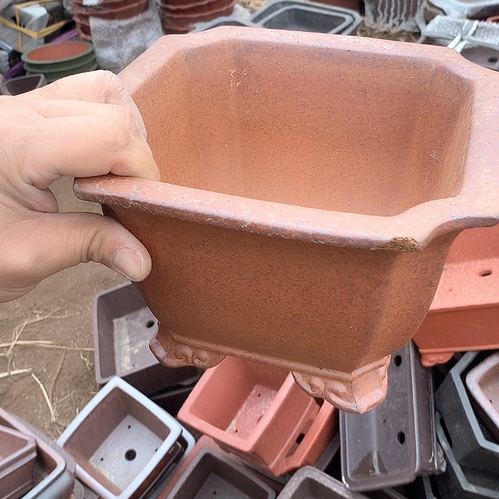 紫砂优秀青年科技人才创新人才