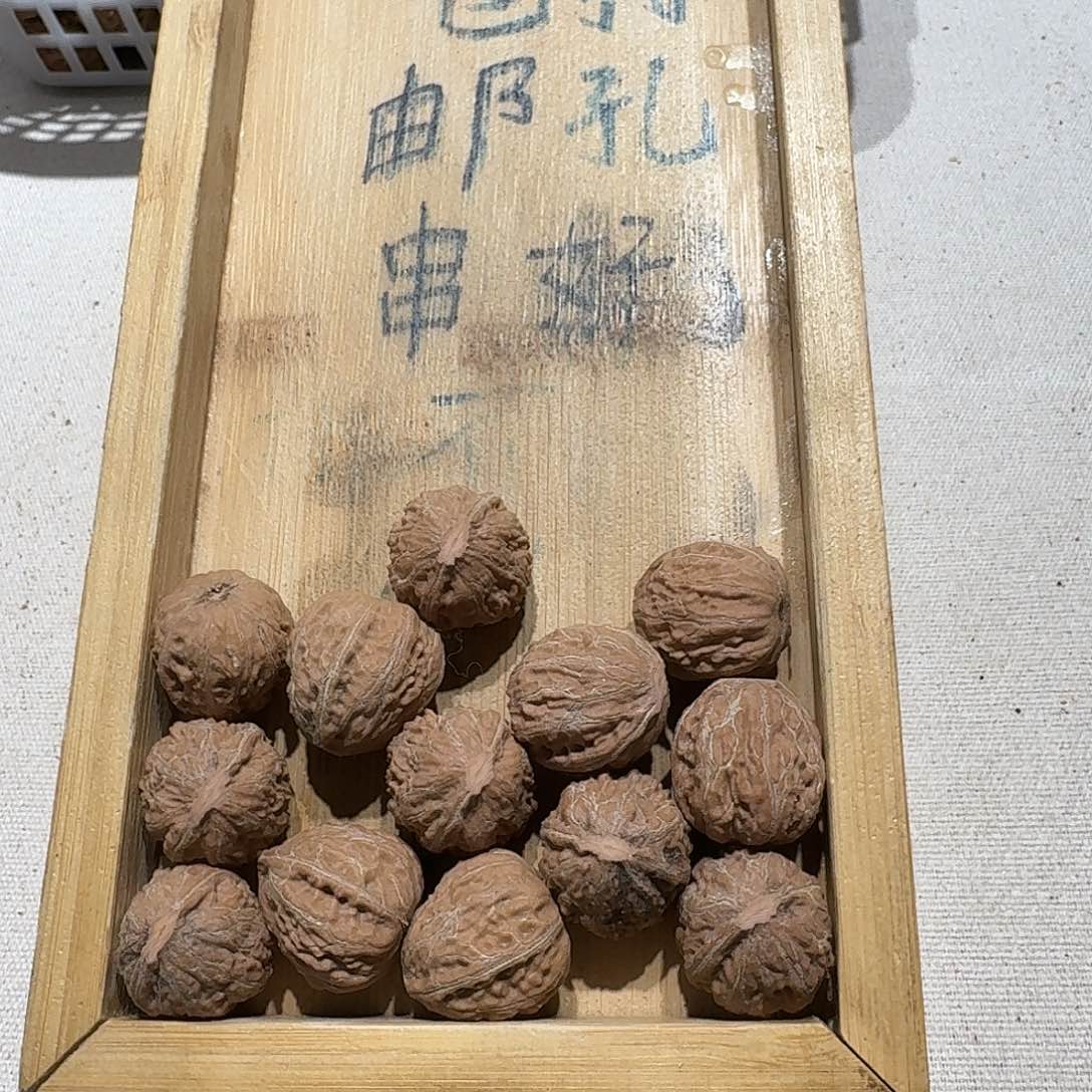 核桃手串/手链24号边20肚21高21