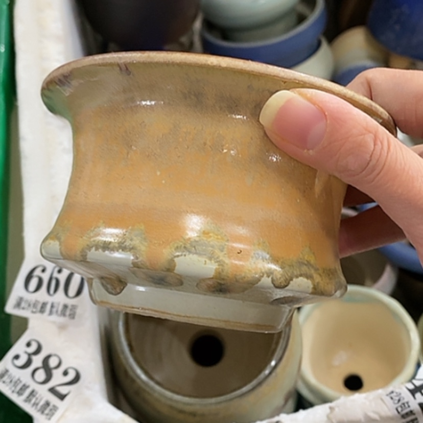 【闪购商品】红陶口9.5