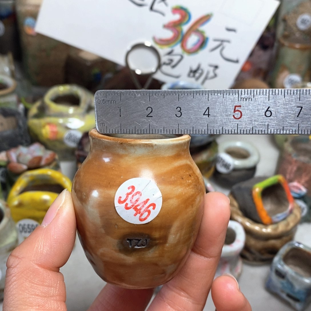 花盆拍5个送一个小礼物