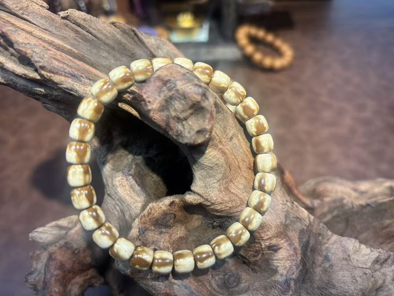 三花极品毕业实心鼠