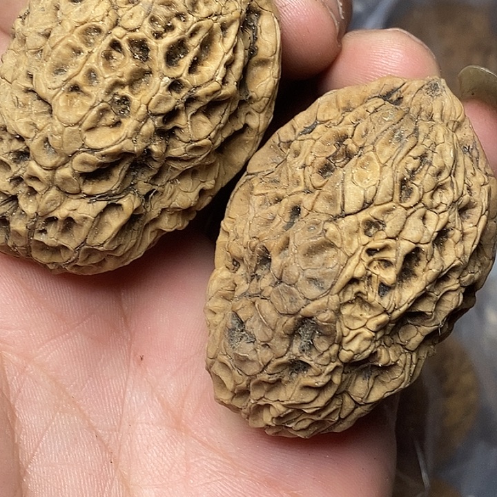 把件文玩核桃志成云铁文玩53