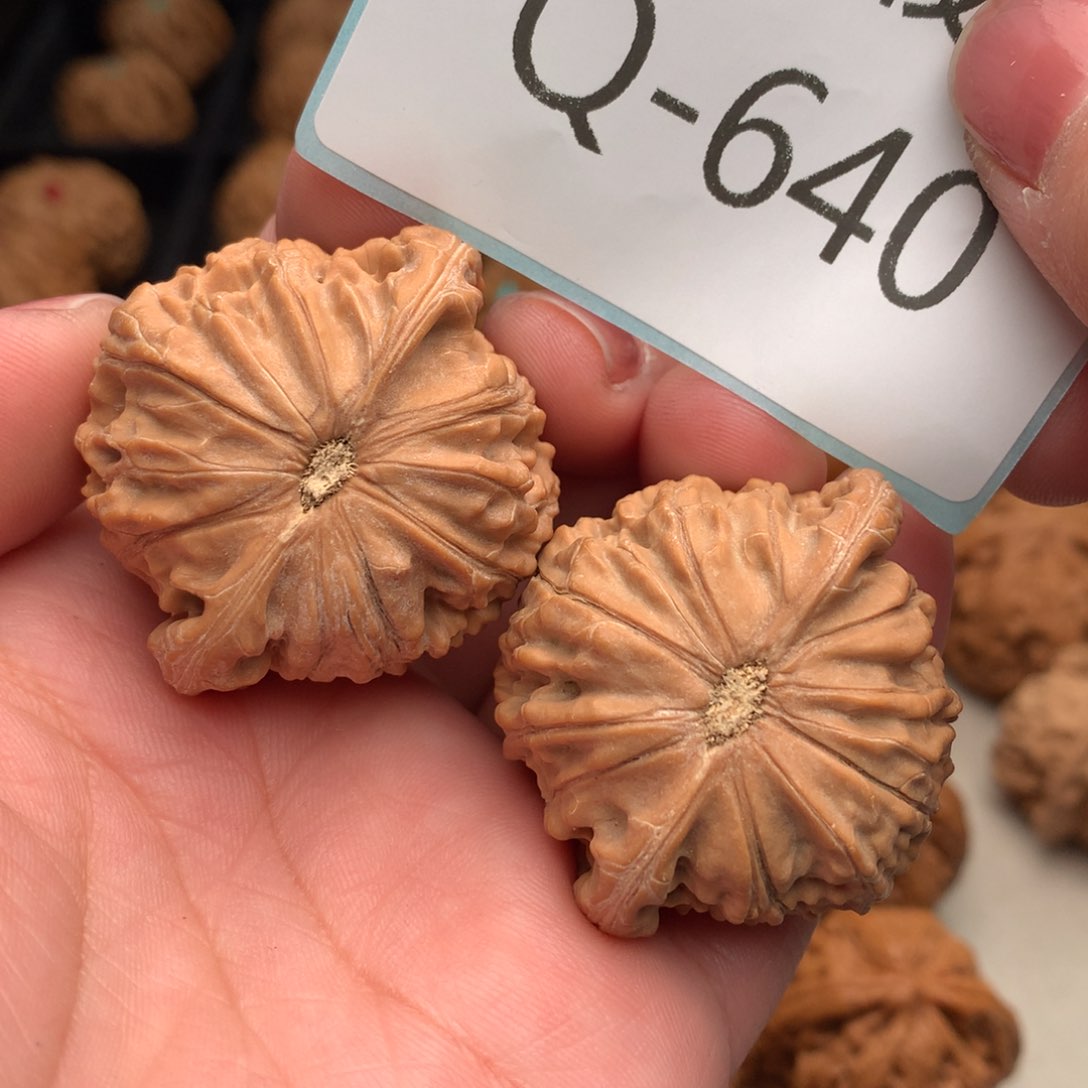 文玩核桃把件42磨盘………..