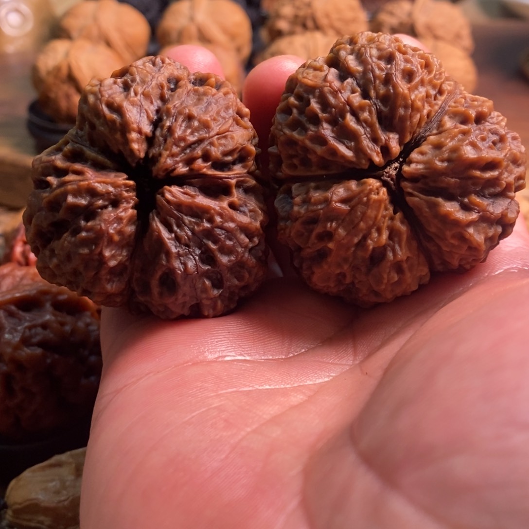 文玩核桃把件48虎印七彩