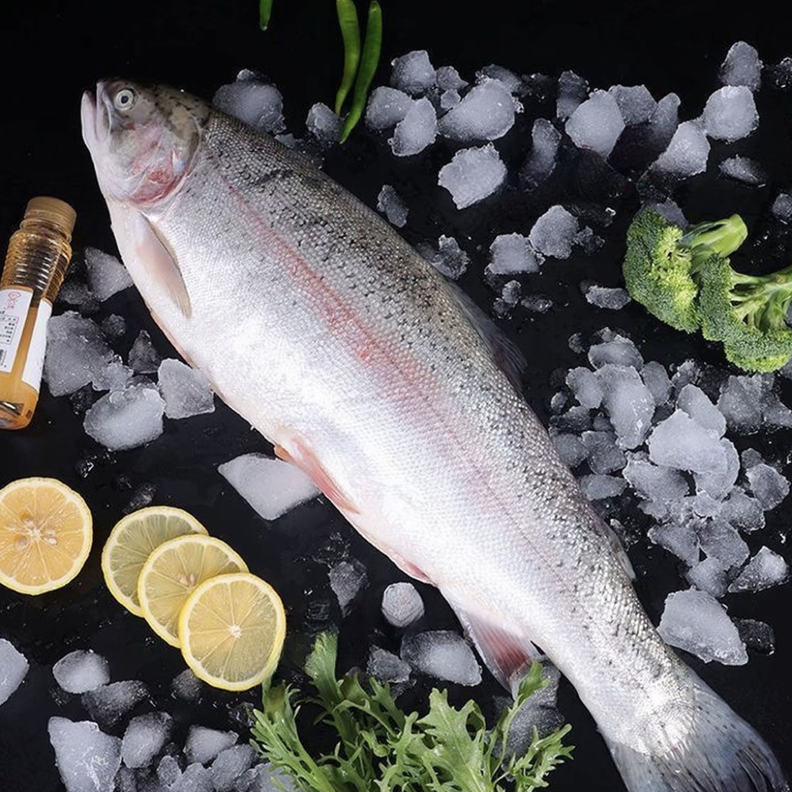 冷链配送国产新疆优质整条三文鱼新鲜鱼柳自助餐餐饮专用送芥末