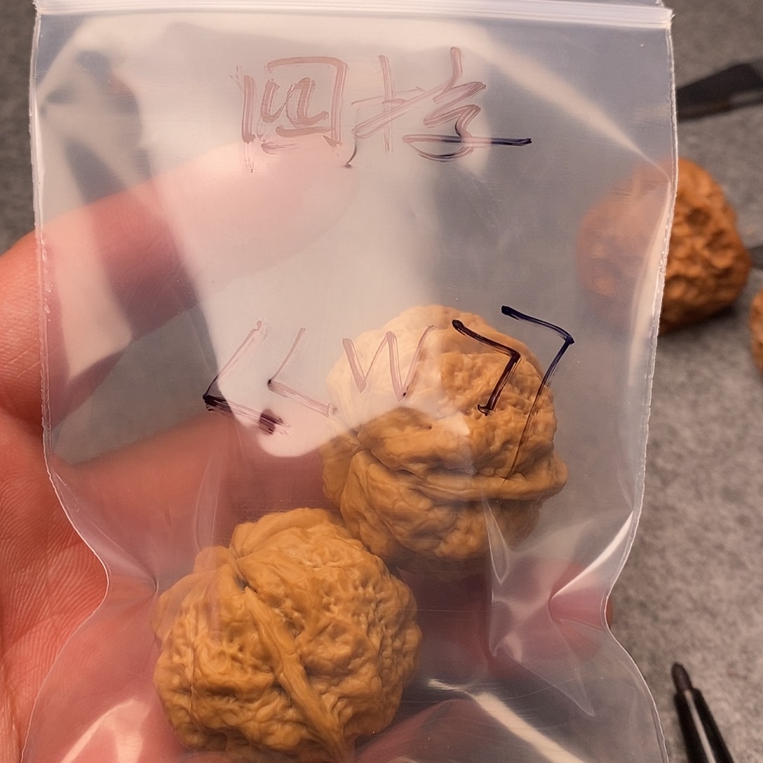 文玩核桃把件《*》四棱