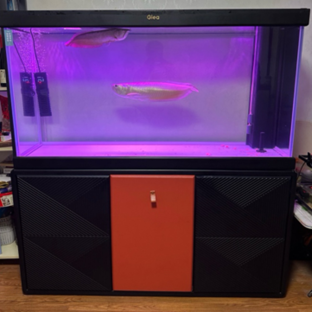 1.5米高逸鱼缸超白玻璃龙鱼长150cm宽60cm 