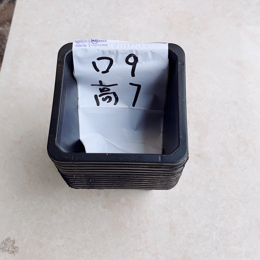 塑料福利款9方黑色盆40个无托