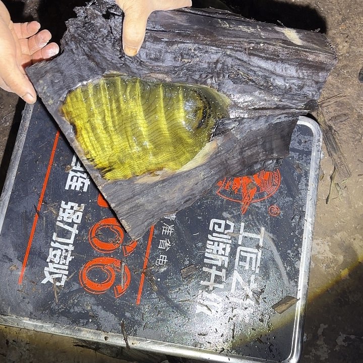 奋***斗金丝楠金丝楠阴沉木
