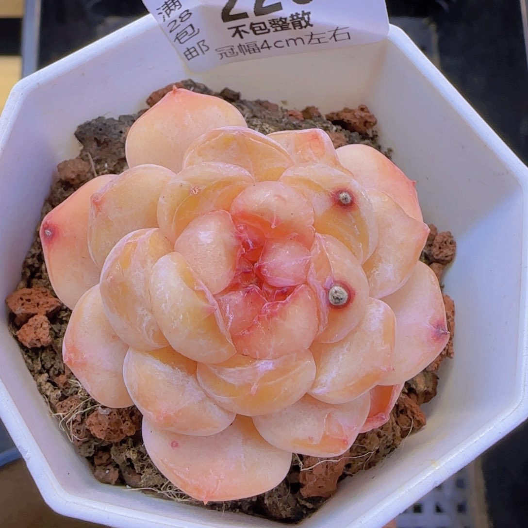 满28包邮当天凑单