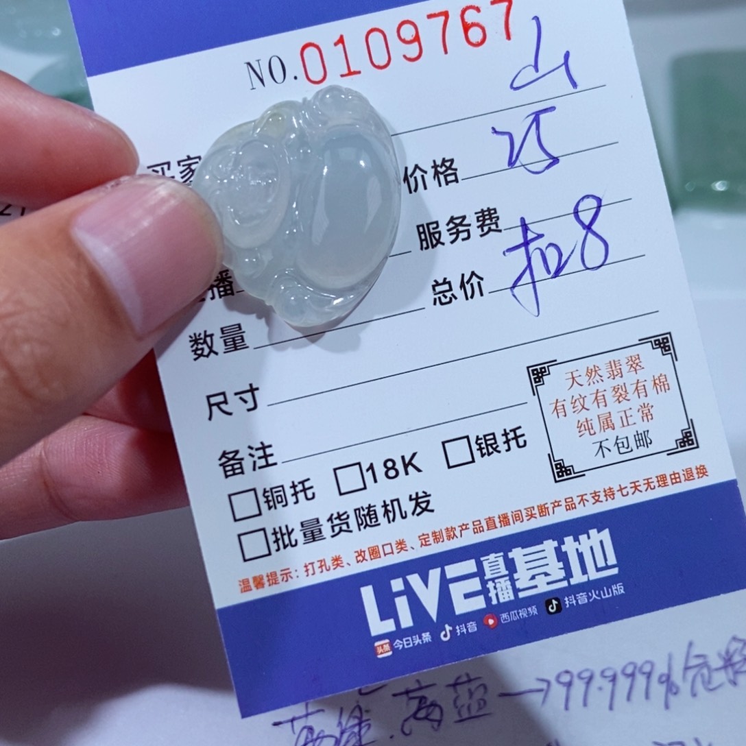 山***长翡翠未镶嵌颈饰1111