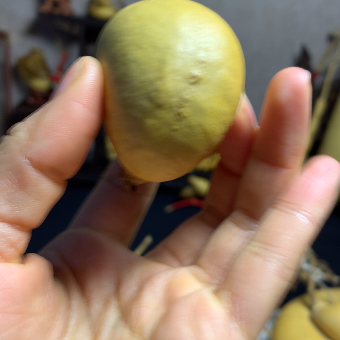 单***歌葫芦葫芦真的好可爱啊