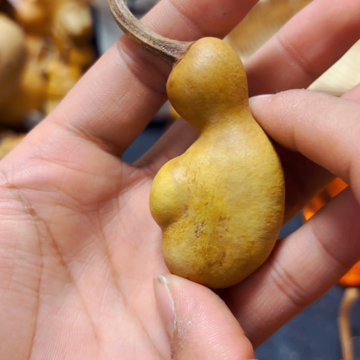 良*88888888888888888888