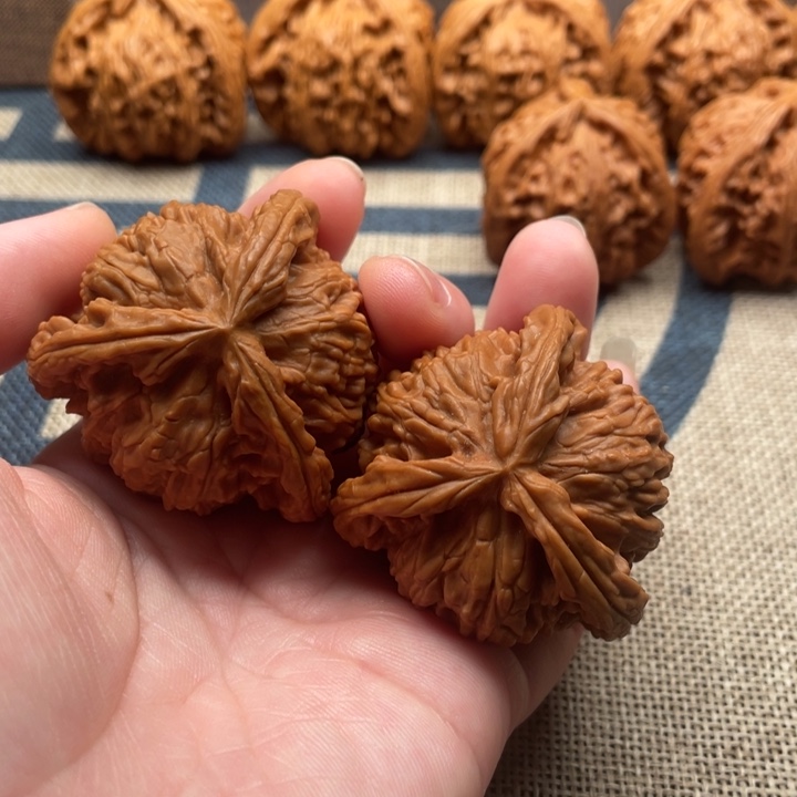 妹***.核桃白狮子43核桃