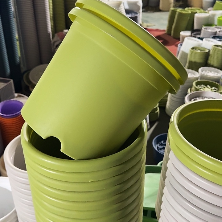 四季5#口径29果绿10个无托