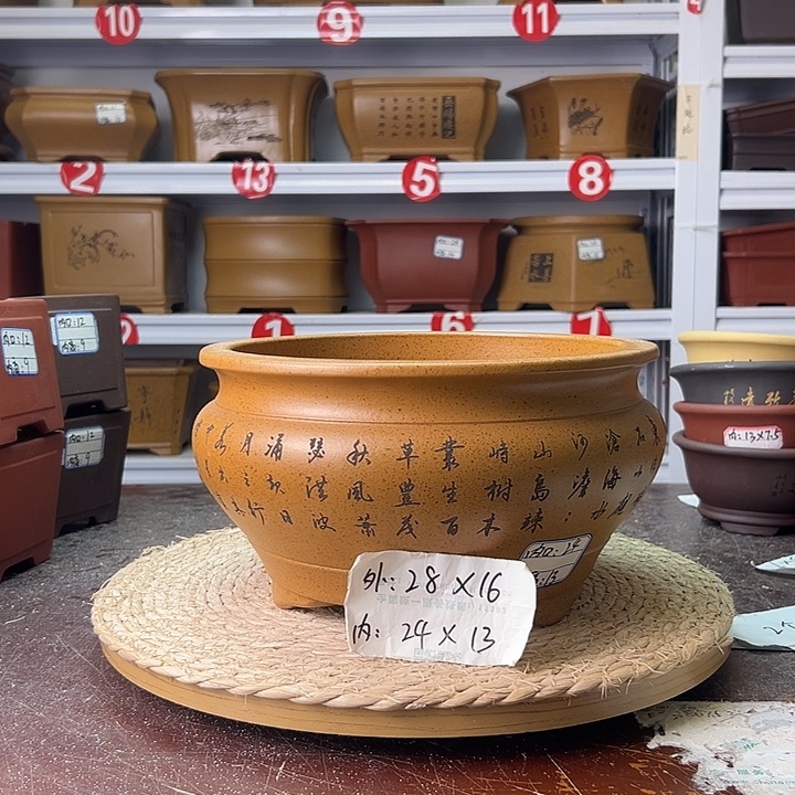 紫砂花盆蛇年大吉