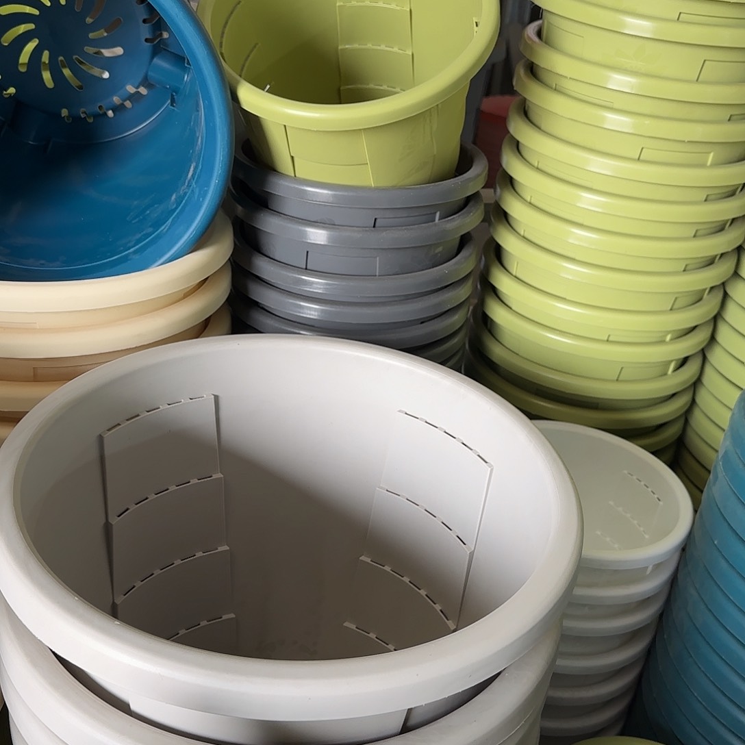 树脂测4带托5个果绿