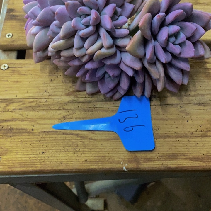 凡***儿你就在家里吃好吧