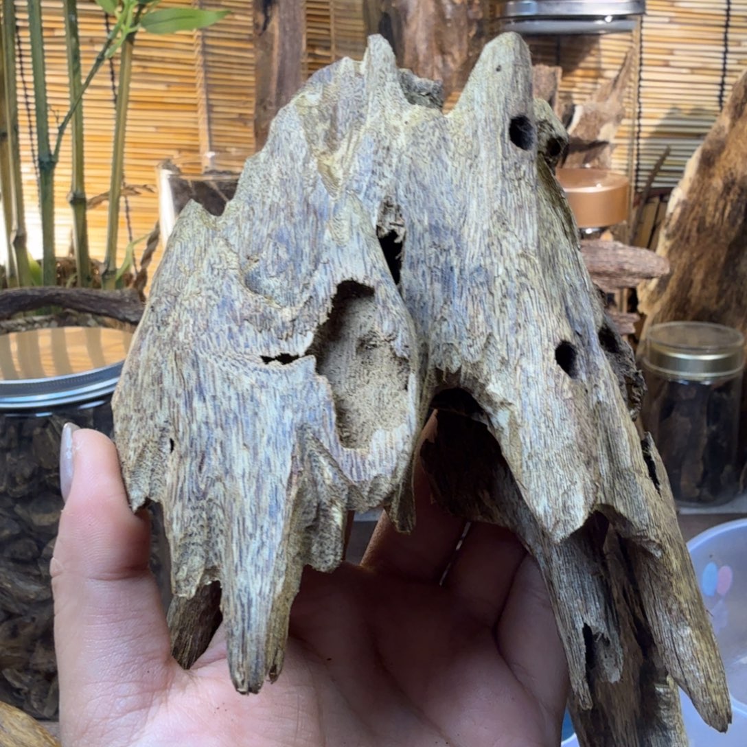 沉香沉香碎屑沉香大树头128g