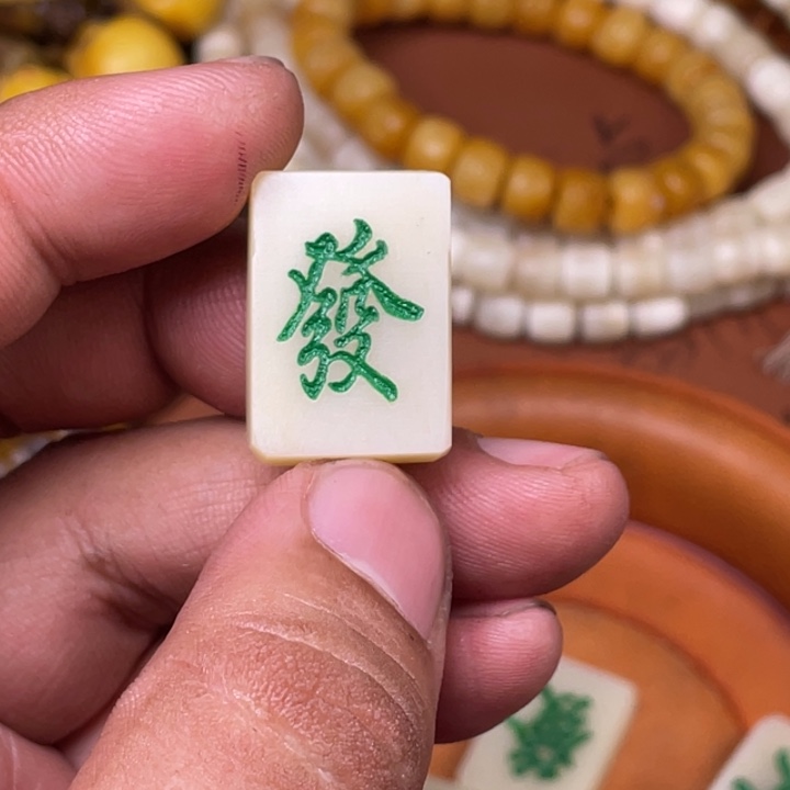 驼骨其他人工养殖