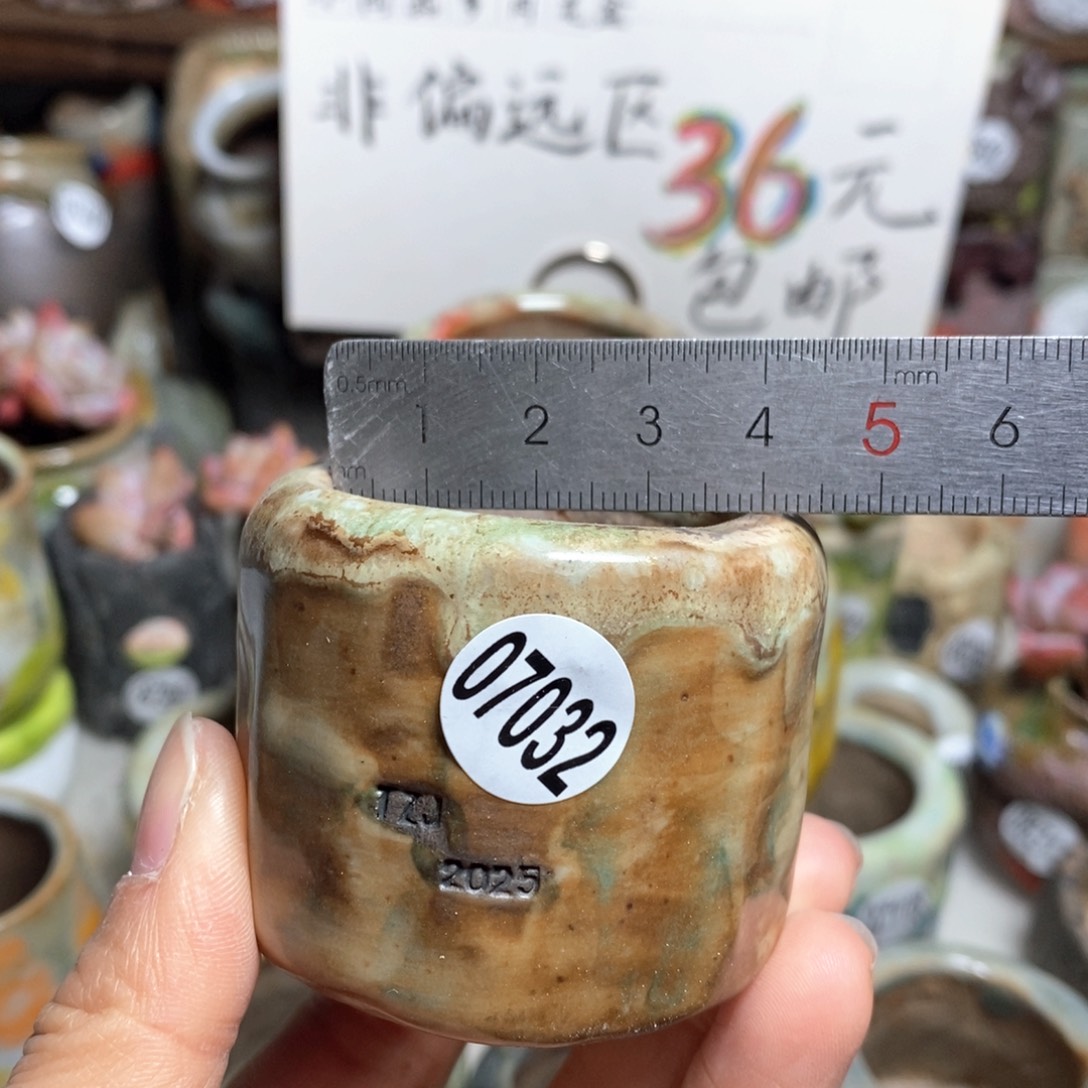 花盆拍3送一个小礼物
