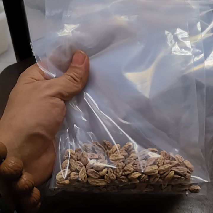 核桃手串/手链瓜子蛤蟆头