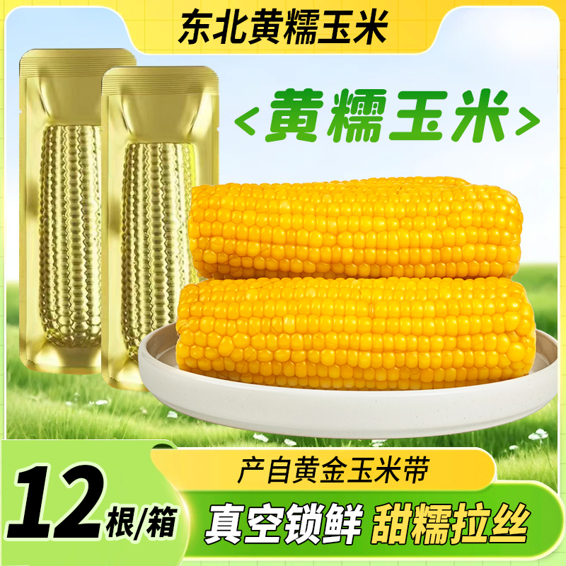 李小网【整箱12支 含试吃2支】东北黄糯玉米2025新玉米单只260g以上