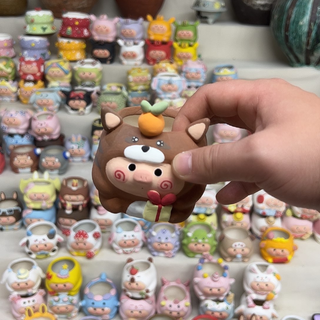 特价福利 随机一个