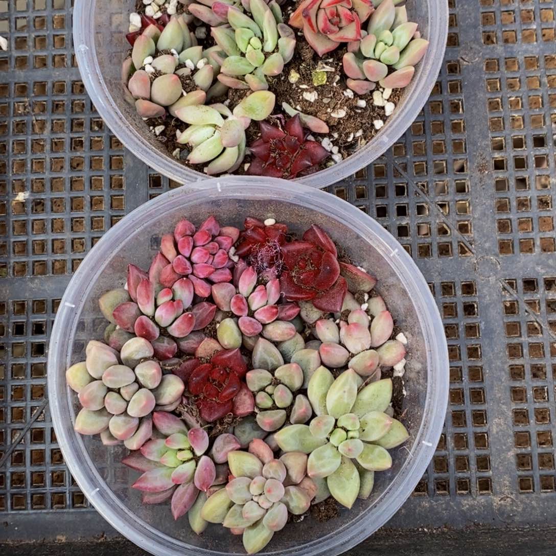 384的人生态度是一