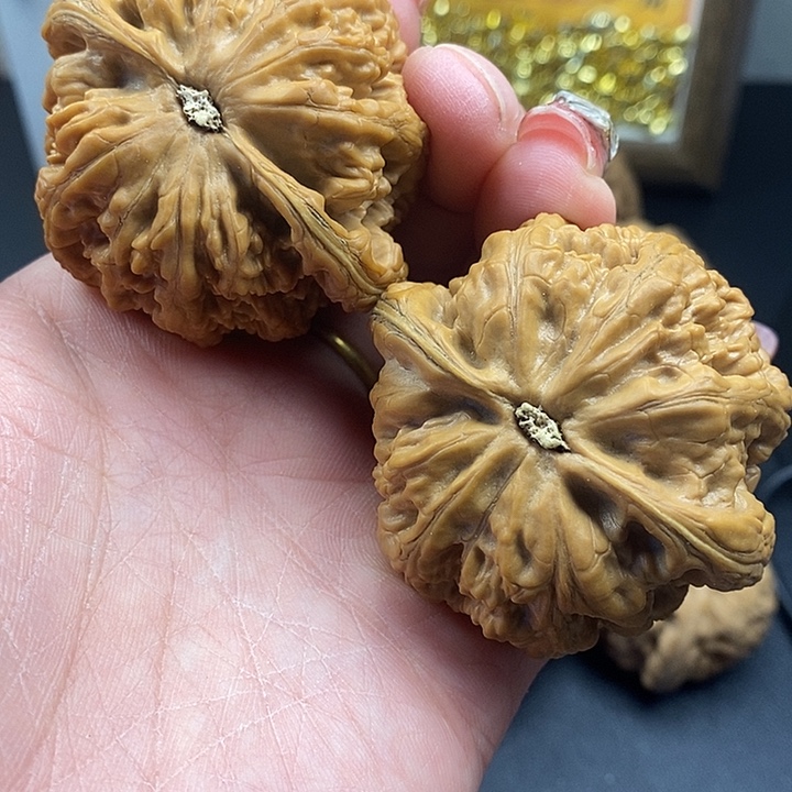 喜***乐大叶紫檀（黑酸枝木类）粗筋51