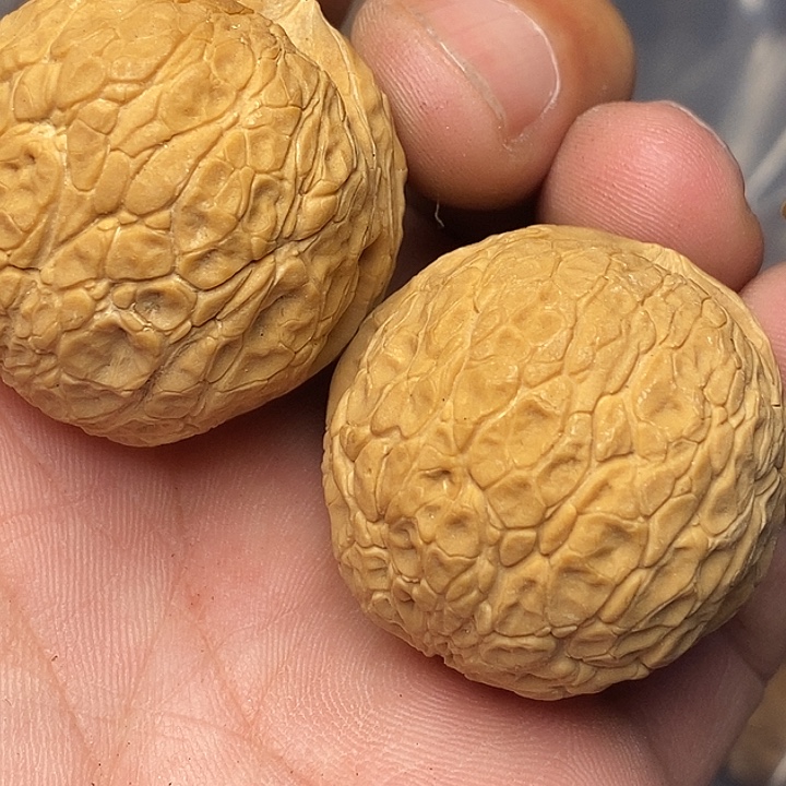 文玩核桃把件志成云铁文玩85
