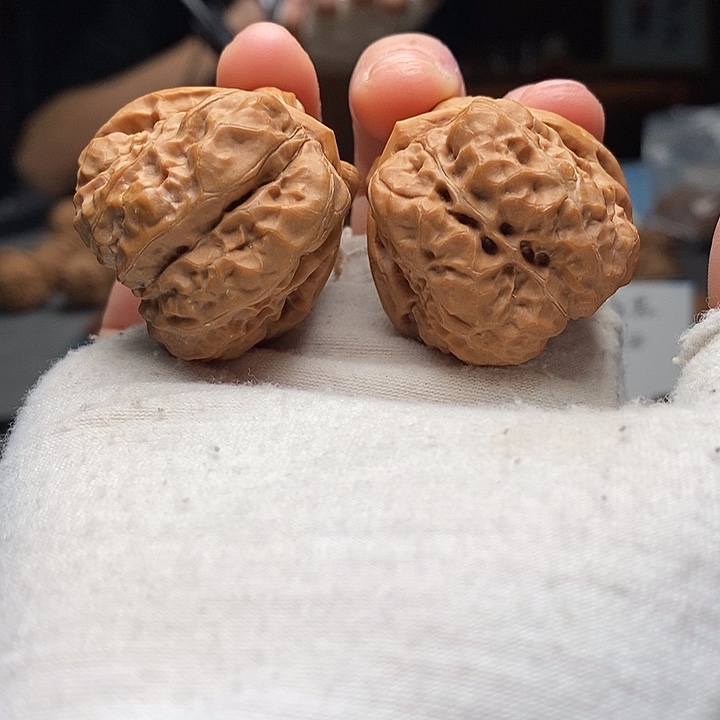 核桃2号 37尺三角蛙