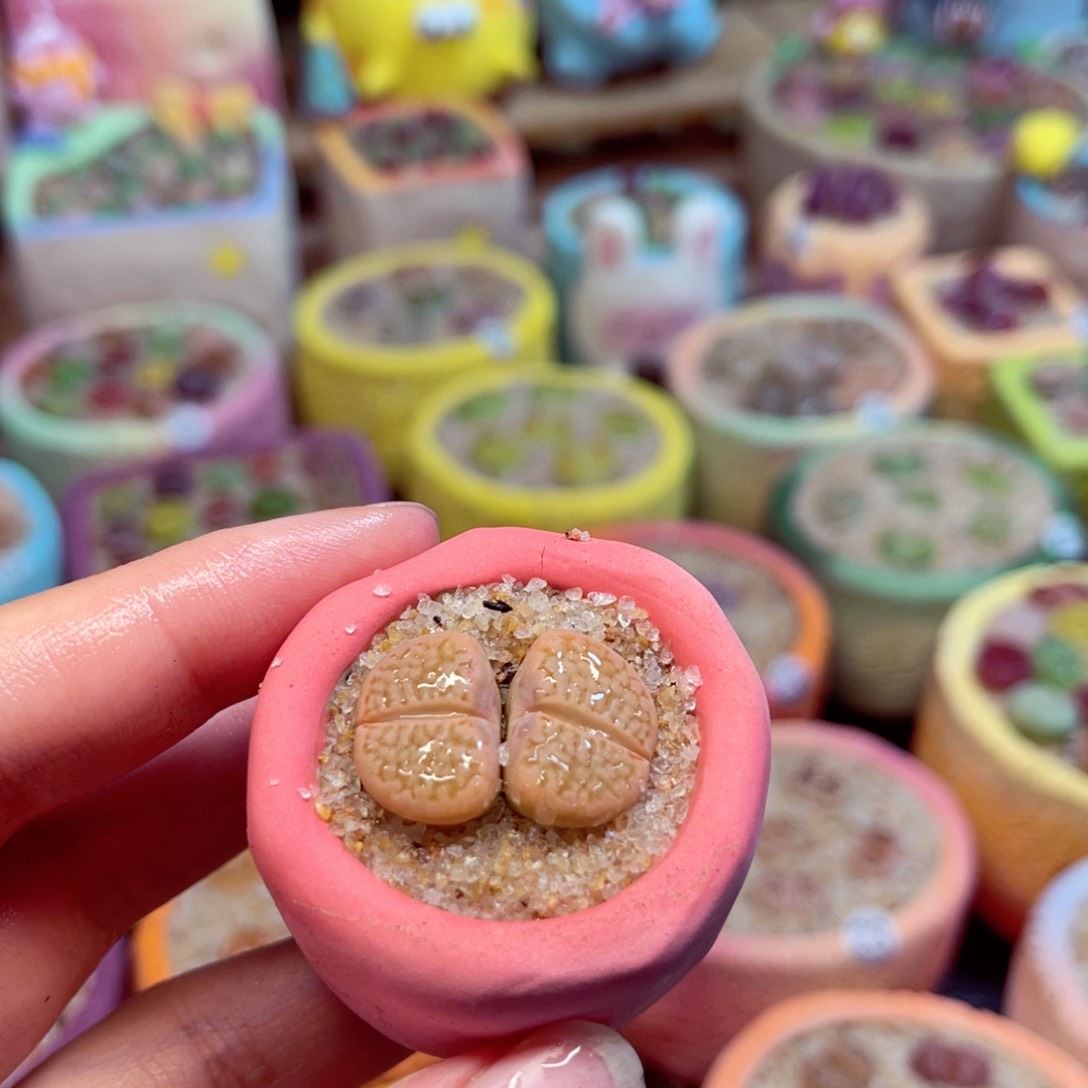 016。88888888888888