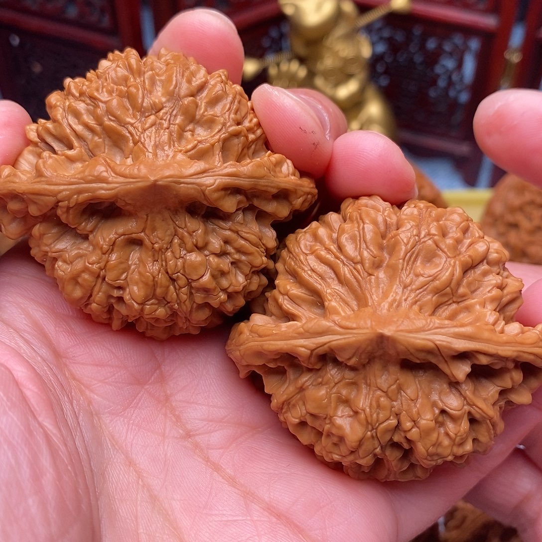 文玩核桃把件全品绝配天花板官帽52.8尺