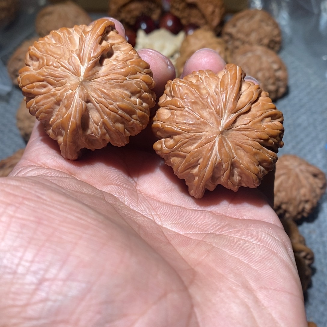 富***港44磨盘。             